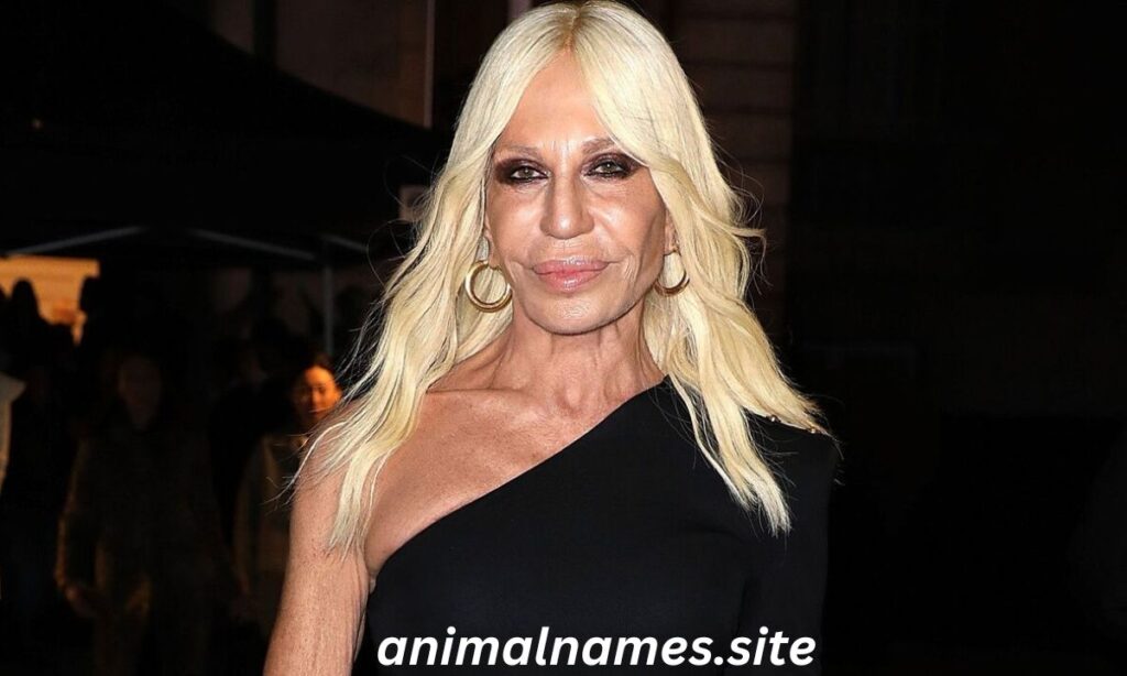 Donatella Versace’s net worth 2025, income, and business ventures