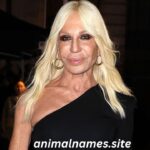 Donatella Versace’s net worth 2025, income, and business ventures