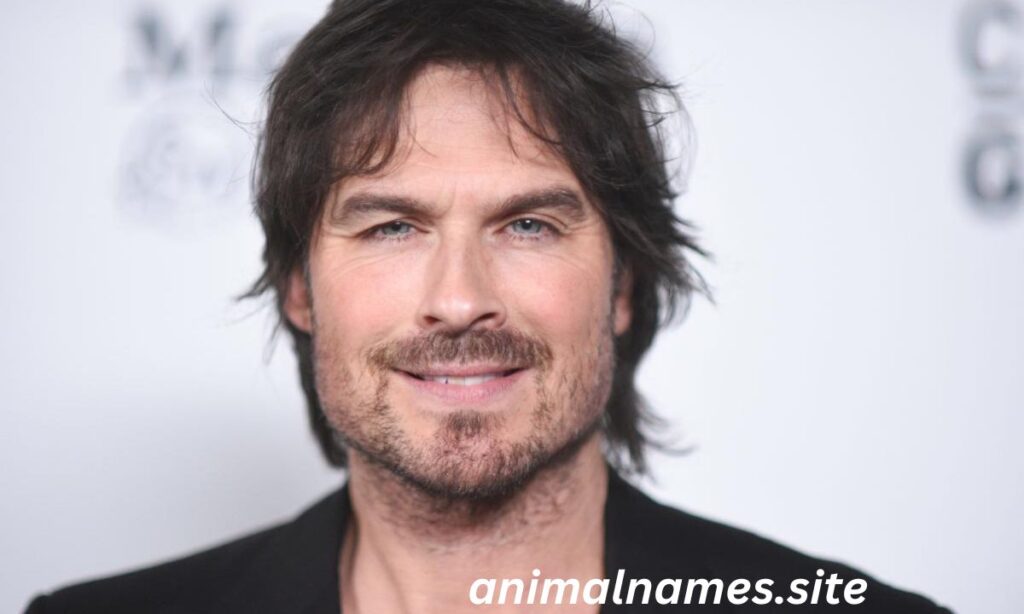 Ian Somerhalder Net Worth 2025 Height, Bio, Career, Personal Life & Awards (2)