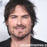Ian Somerhalder Net Worth 2025 Height, Bio, Career, Personal Life & Awards (2)