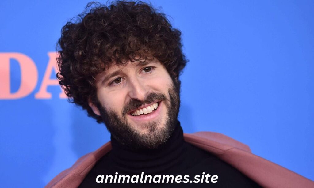Lil Dicky Biography Songs, Net Worth, Siblings, Height, Children, Age, Awards, Parents, Albums