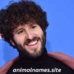 Lil Dicky Biography Songs, Net Worth, Siblings, Height, Children, Age, Awards, Parents, Albums