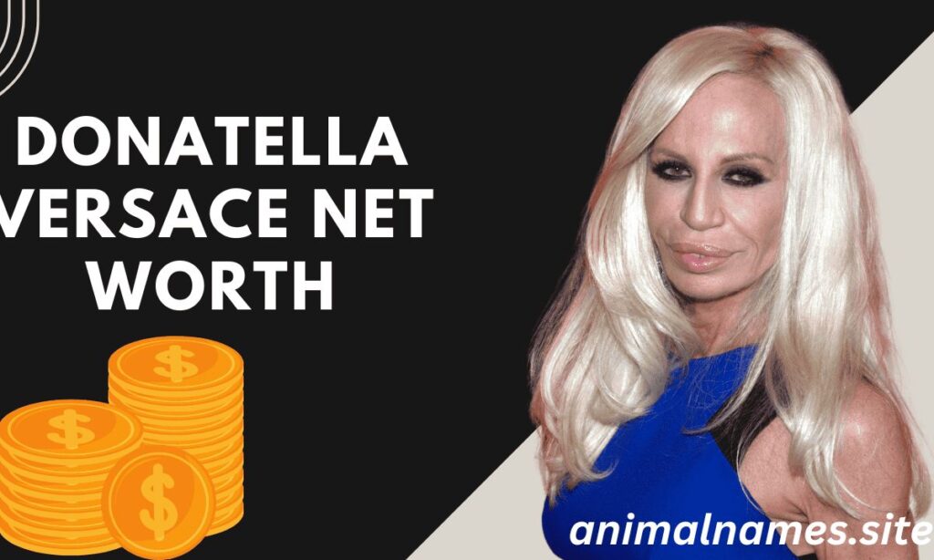 What is Donatella Versace's Net Worth and Salary